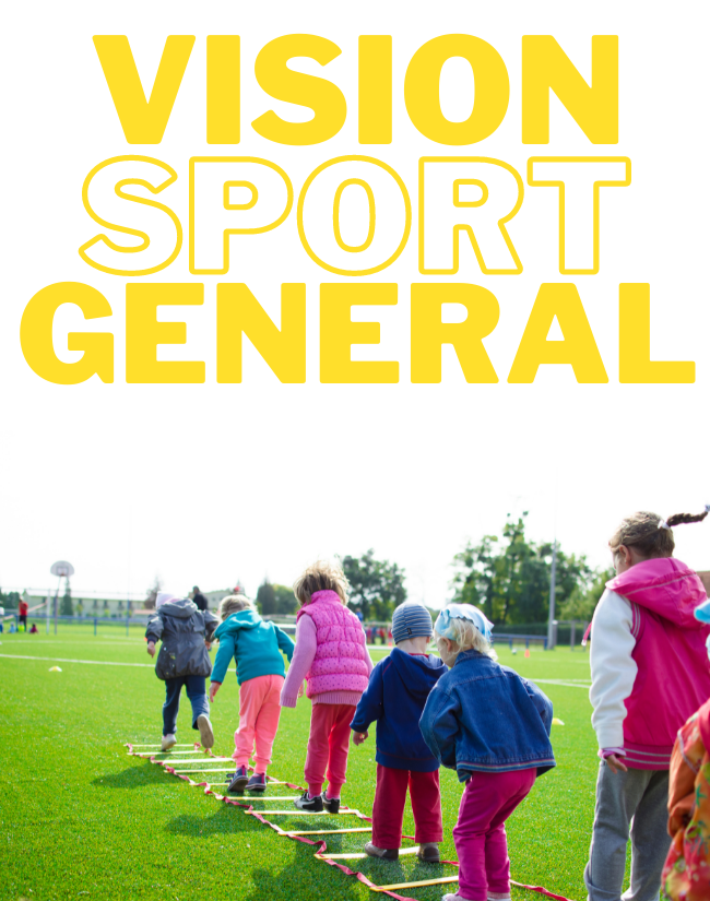 10 największych problemów stowarzyszeń, Vision Sport Global, zarządzanie NGO
